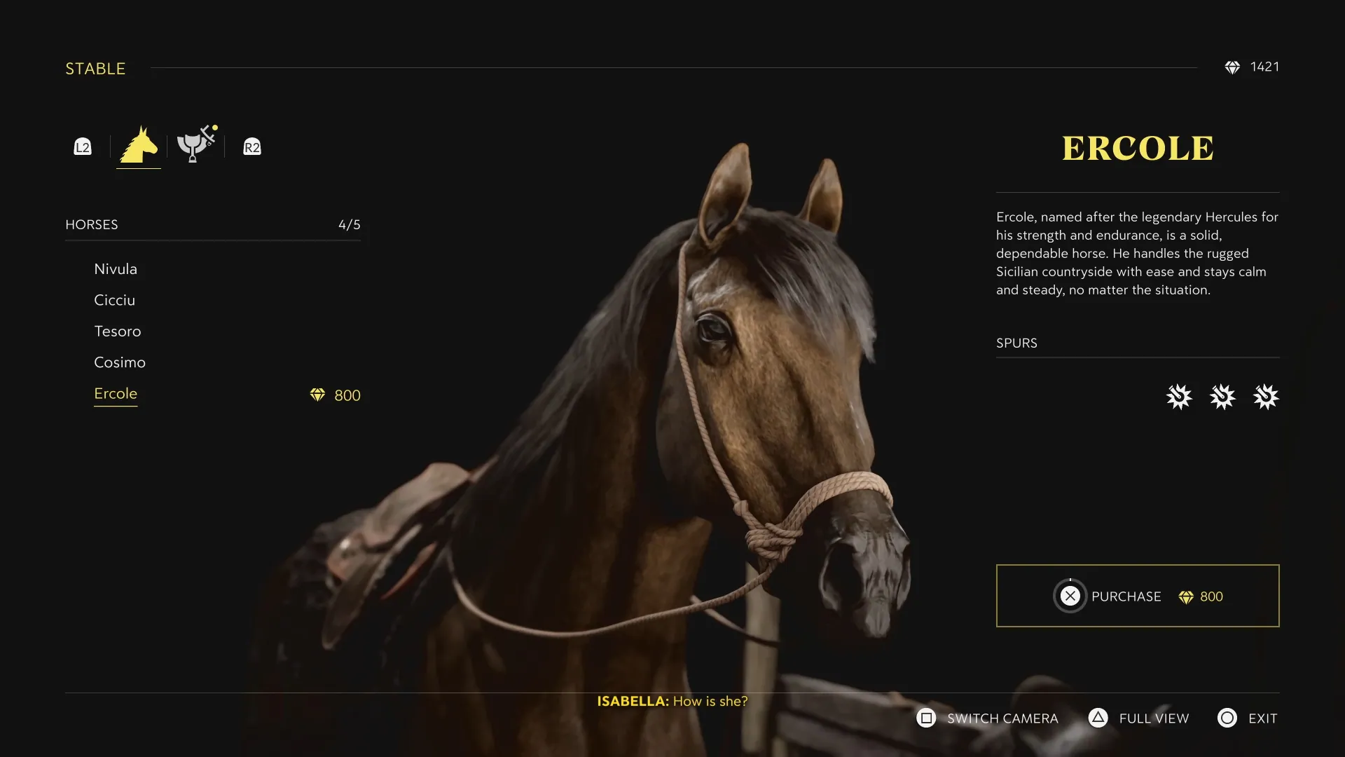 Stable: the same system adapted for horses and their spurs